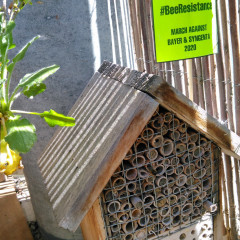 BeeResistance