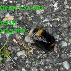 Bilder-March.008