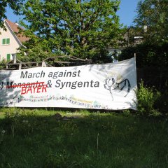 Fronttranspi-in-Garten