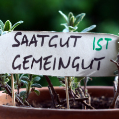 Saatgut_ist_Gemeingut_5402