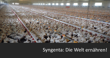 Syngenta-Welternährung