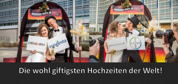 giftigste-Hochzeiten